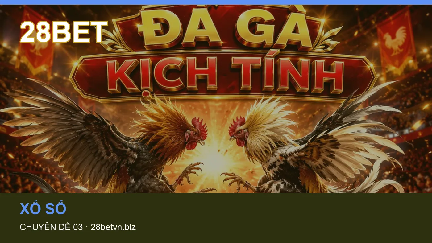 Xổ số: những thuật ngữ cần hiểu khi tra cứu 28BET